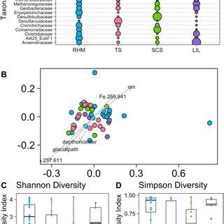 A Relative Abundance Of Most Abundant Bacterial And Archeal