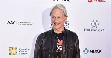 ncis star mark harmon backtracking  rejoining show sources