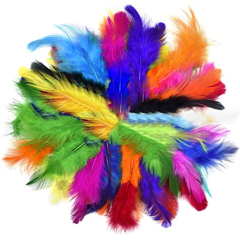 Buy Asian Hobby Crafts Natural Dyed Feathers 80 Pieces for Craft ...