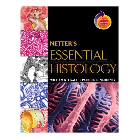 Jual Pdf Histology Netter S Essential Shopee Indonesia