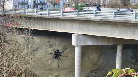 Giant Spider Sculpture In Canada Sparks Controversy Photos Miami Herald