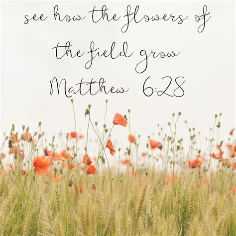 List 100 Pictures Bible Verses With Flower Images Updated