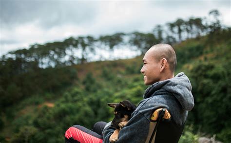 Bald Dog Photos Download The Best Free Bald Dog Stock Photos And Hd Images