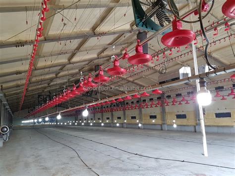 Ip65 Waterproof Led Poultry Bulb For Chicken Farm Dimmable Led Lights