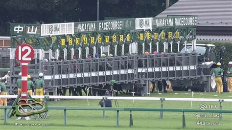 【動画】【2024 スプリンターズs Gi】 秋のスプリント王はどの馬だ！？ 929（日） 中山競馬場 スポーツナビ「jra 日本中央競馬会」