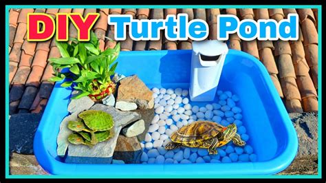 देसी Diy Turtle Pond Youtube