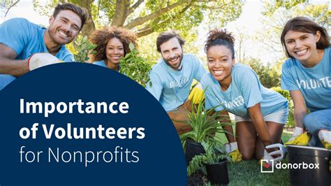 Reasons Why Volunteers Are Essential For Nonprofit Organizations