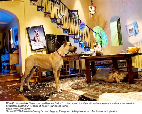 Marmaduke 2010 Cast Crew Synopsis And Movie Info