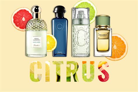 Best Citrus Perfumes - FragranceReview.com