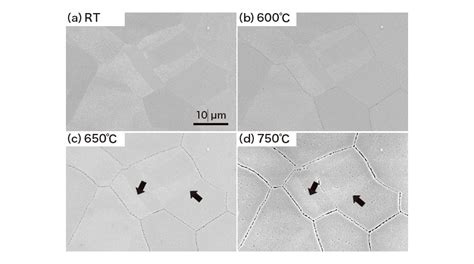 金属組織評価へのsem内加熱その場観察の応用 Si News 日立ハイテク