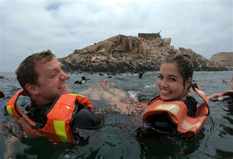 Callao Swimming With Sea Lions Palomino Islands Boat Tour Getyourguide