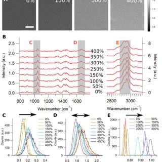 Confocal Fluorescence Microscopy Of Fibrin Network Under Simple Shear