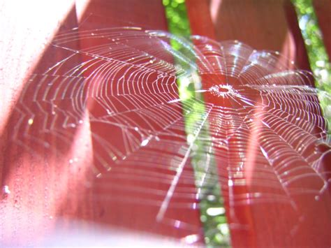 Web By Ojika On Deviantart