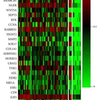 Heat Map Depicting Dna Hypermethylation In Ews Primary Tumors Cpgs