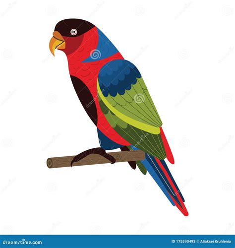 Western Black Capped Lory Parrot In Flat Stock Vector Illustration Of
