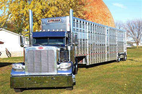 2014 Peterbilt 389 Is Pulling A Shiny New Bull Hauler Cattle Trailer