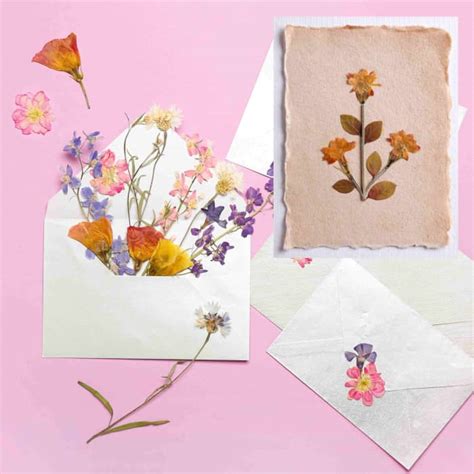 How To Make Beautiful Pressed Flower Art A Beginners Guide Feltmagnet