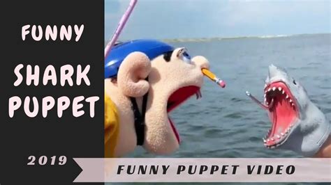 Funny Shark Puppet Video Compilation Fun Age Youtube