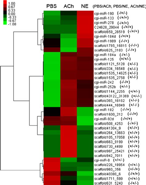 Heat Map And Hierarchical Clustering Of Differentially Expressed Download Scientific Diagram