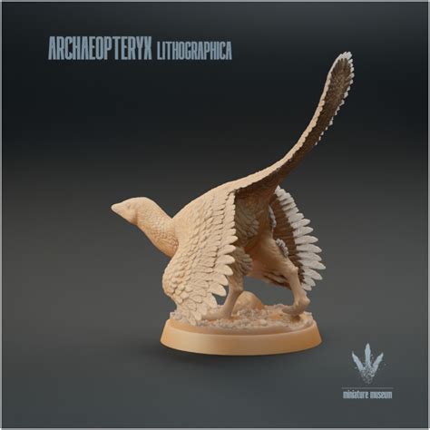 3d Printable Archaeopteryx Lithographica Display By Miniature Museum