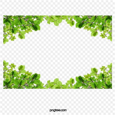 Folhas Verdes De Fronteira PNG Folha Quadro Armação Imagem PNG e