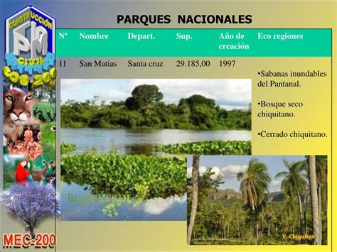 Ppt Ecosistemas En Bolivia Powerpoint Presentation Free Download