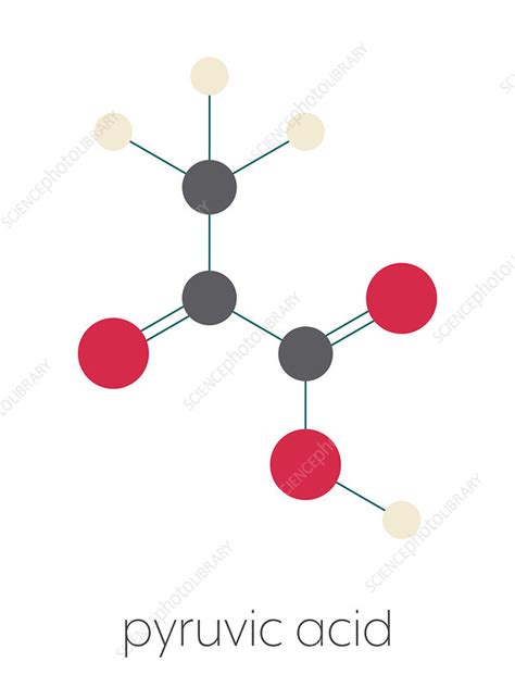 Pyruvic Acid Molecule Illustration Stock Image F027 9331 Science Photo Library