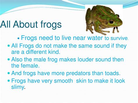 PPT - Frogs and toads PowerPoint Presentation, free download - ID:6190374