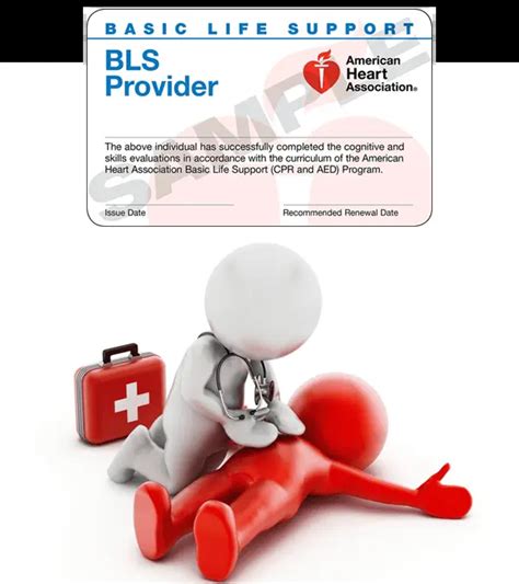 Cpr Classes Near Me Best Aha Bls Cpr Certification