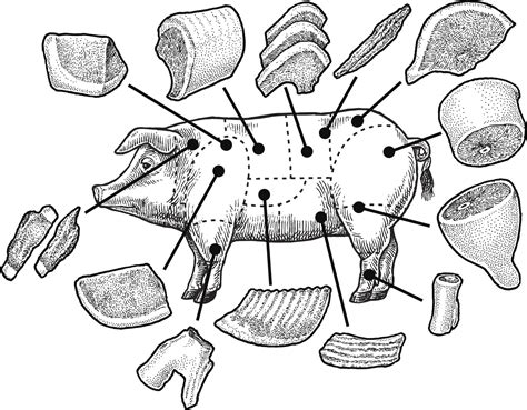 Aprende Cu Les Son Los Mejores Cortes De Cerdo