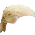 Trump Hair Meme Generator - Imgflip