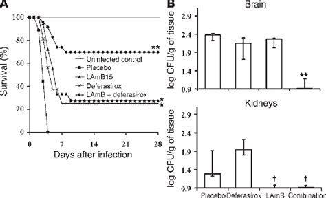 Figure From The Iron Chelator Deferasirox Protects Mice From