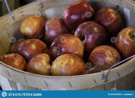 Gala Apples In A Basket Stock Photo Image Of Farmers 261676426