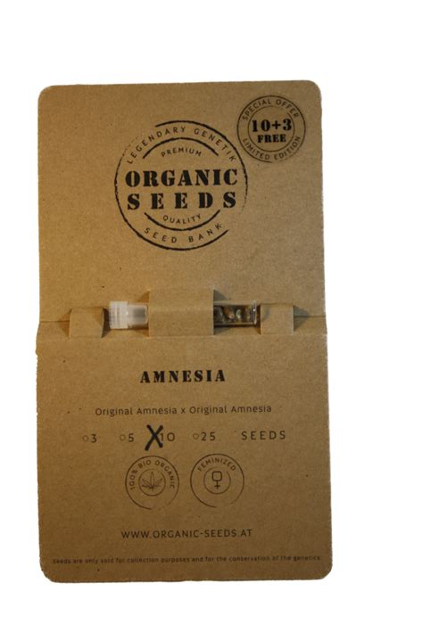 AMNESIA - Organic Seeds