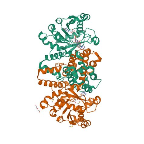 RCSB PDB 6HUY HmdII From Desulfurobacterium Thermolithotrophum