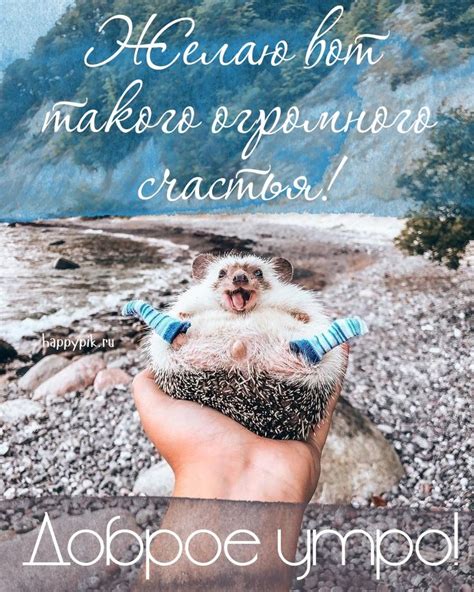 Прикольные картинки Доброе утро 👍 😄 - скачать | Доброе утро, Картинки ...
