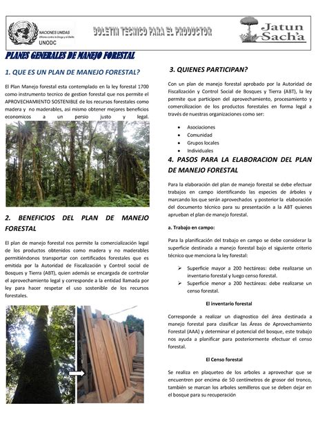 DI Planes Generales De Manejo Forestal Beneficios Y Aprovechamiento