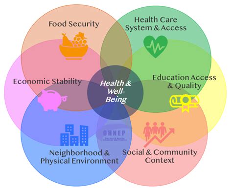 Social Determinants Of Health Nyu Rory Meyers College Of Nursing