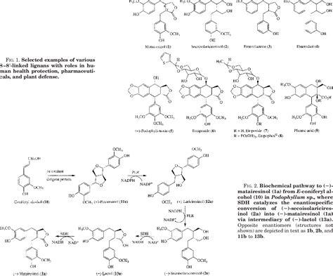 Figure From Crystal Structures Of Apo Form And Binary Ternary