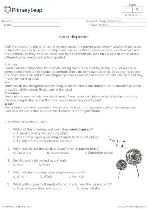 Seed Dispersal Worksheet Year 3