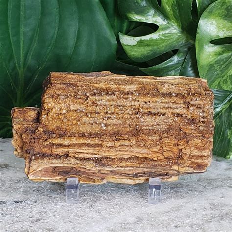 Petrified Wood With Quartz Crystal Raw Large Natural Etsy In 2021