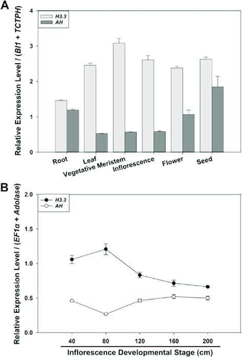 Relative Expression Levels Of H33 And Ah In Different Tissues A And