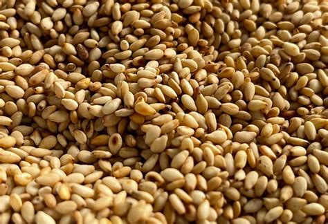 Free Sesame Images Pixabay