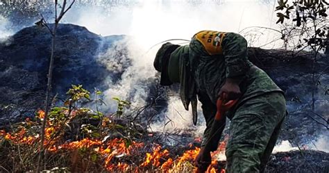 Un Incendio Forestal En Santiago Nuevo León Arrasa Con Al Menos 20