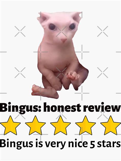 Bingus Sphynx Hairless Cat Meme Rating Sticker For Sale By