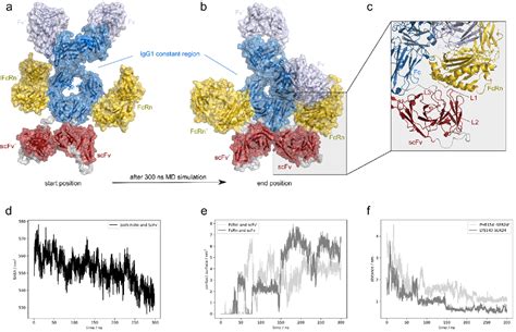 Figure 1 From Exploring Molecular Determinants And Pharmacokinetic
