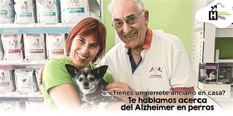 Alzheimer O Demencia En Perros Disfunción Cognitiva Canina Centro