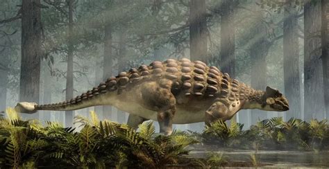 Fun Ankylosaurus Facts For Kids | Kidadl