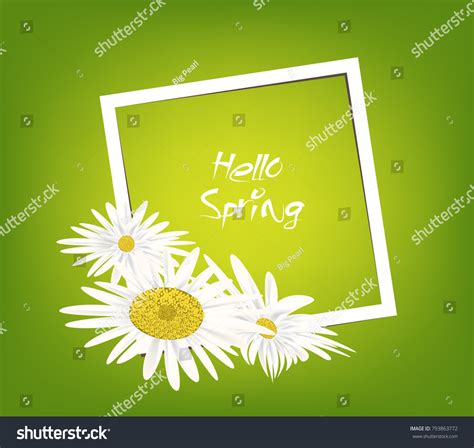 Bright Spring Banners Design Frame Background Stock Vector Royalty Free 793863772 Shutterstock