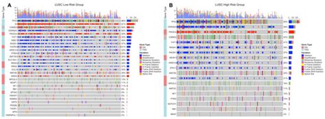 Jpm Special Issue Recent Developments In Cancer Systems Biology